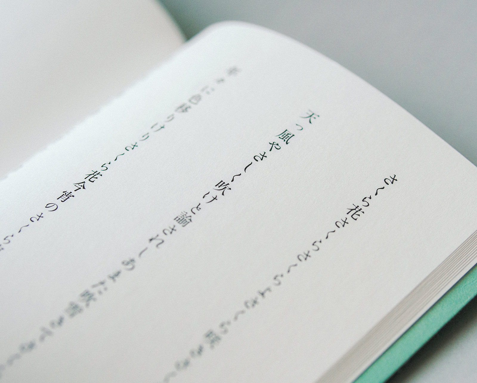 富士と共に