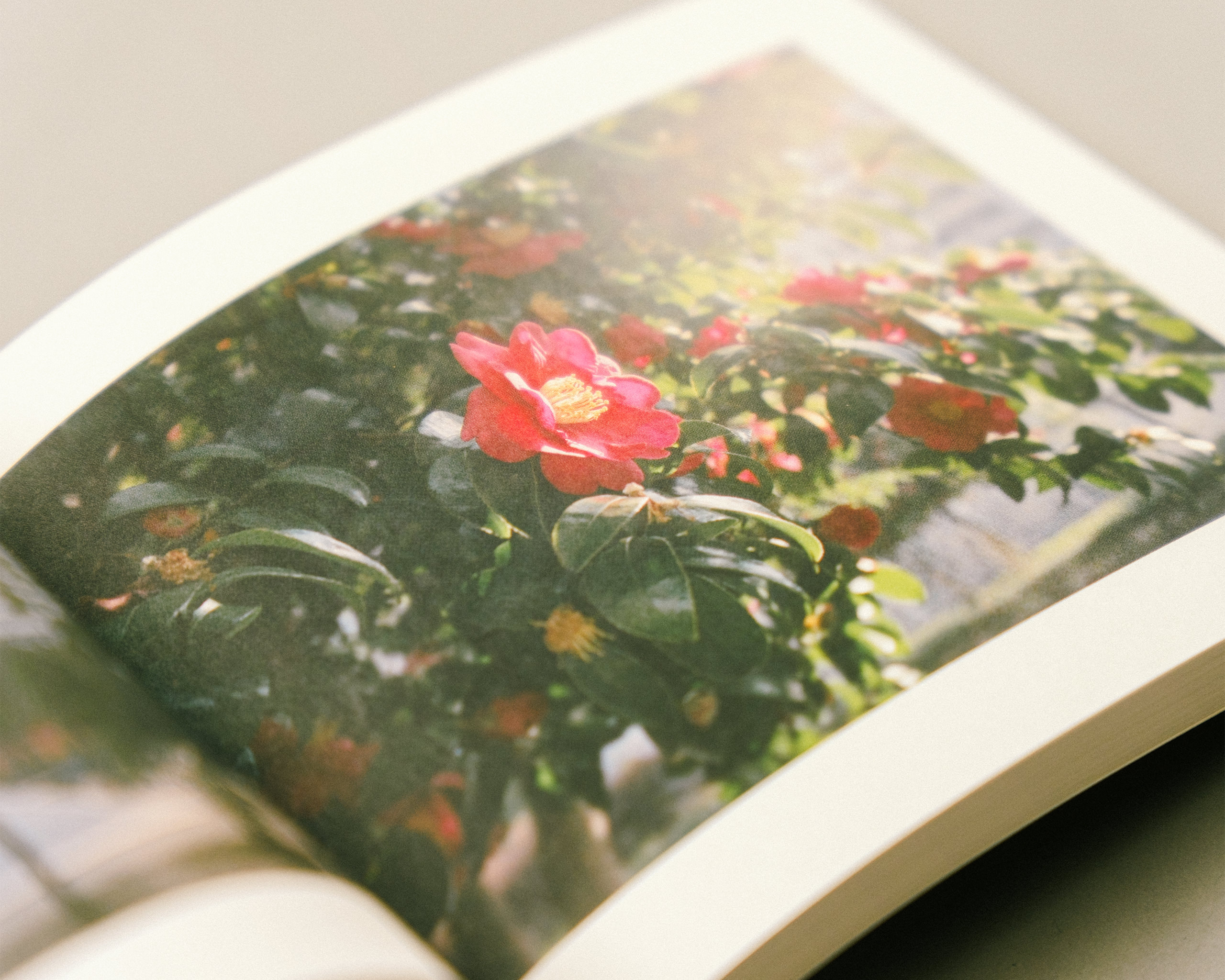 モータープール